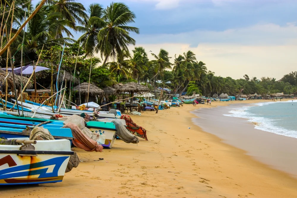 Arugam Bay
