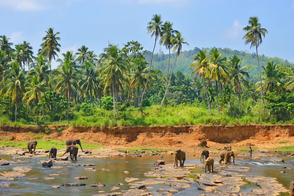 Yala National Park