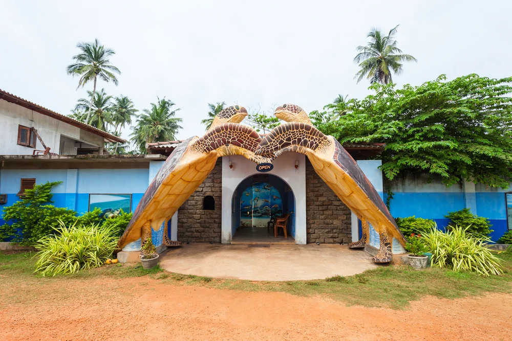 Sea Turtle Hatchery