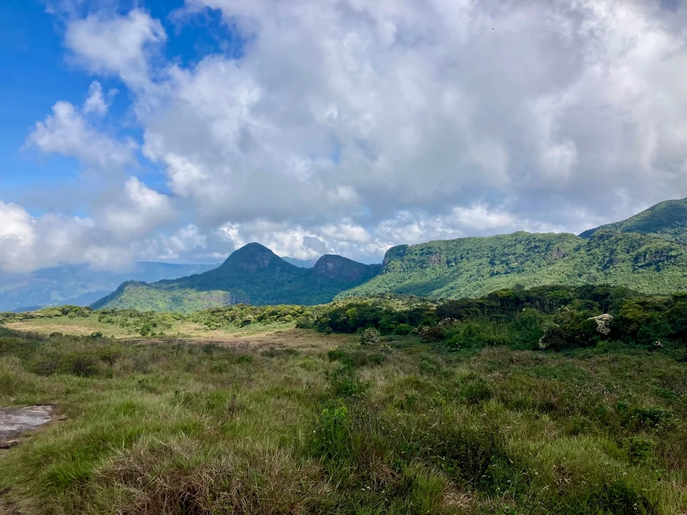 Knuckles Viewpoint