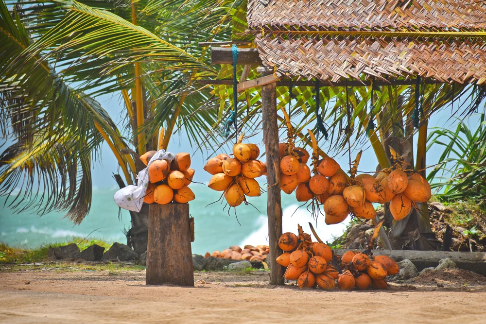 King Coconut Water (Thambili)