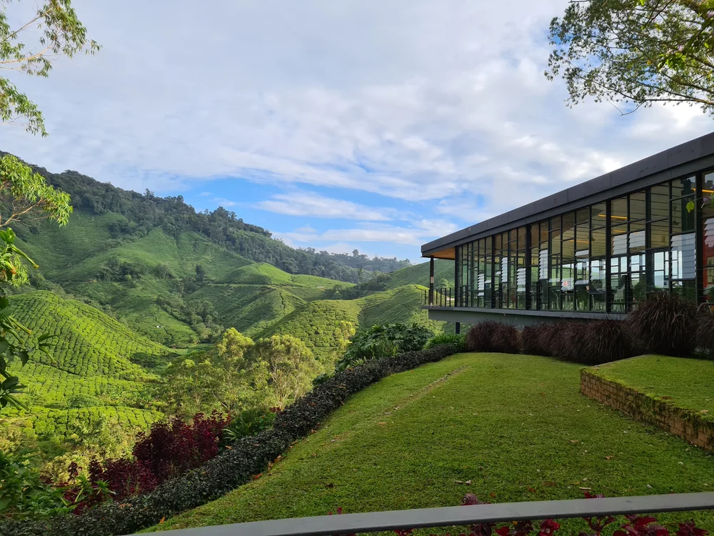 Cameron Highland