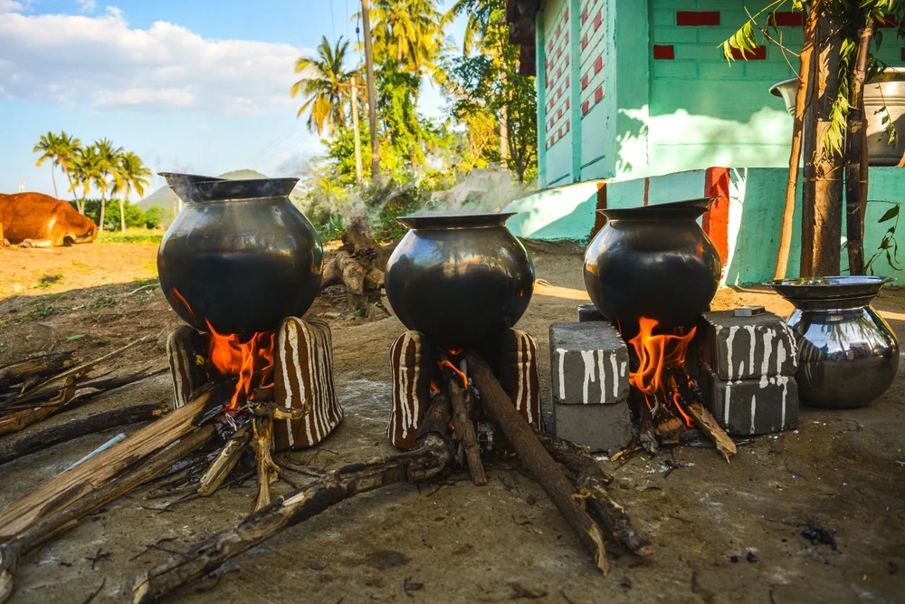  Thai Pongal