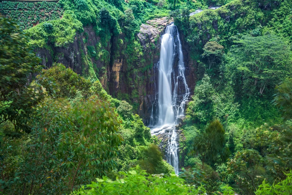 Devon Falls