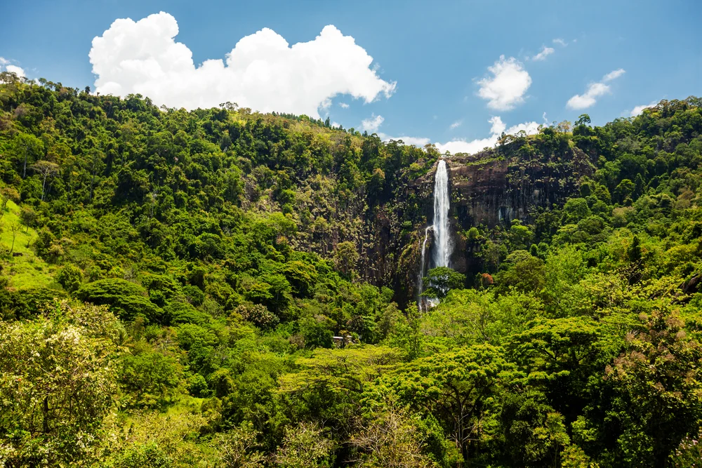 Bambarakanda Falls