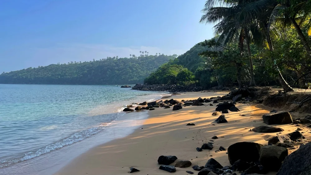 Jungle Beach