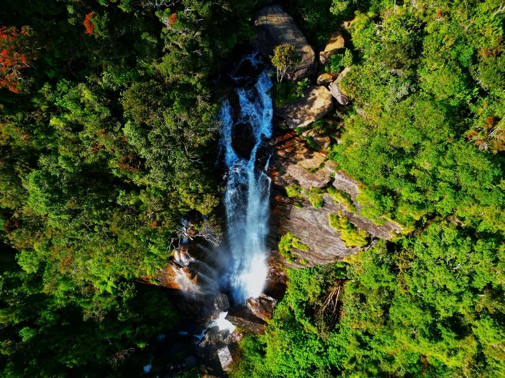 Lover's Leap Falls