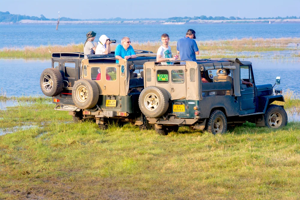 Jeep Safari in Wilpattu National Park 