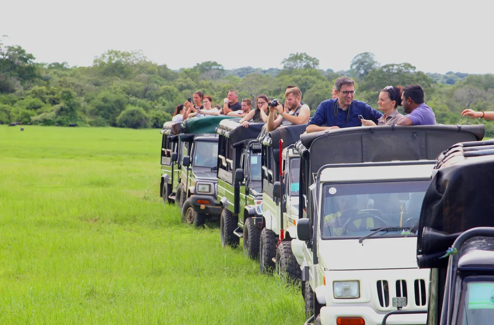 Jeep Safari in Kaudulla National Park