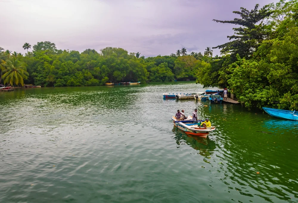 Boat Safari in Madu River