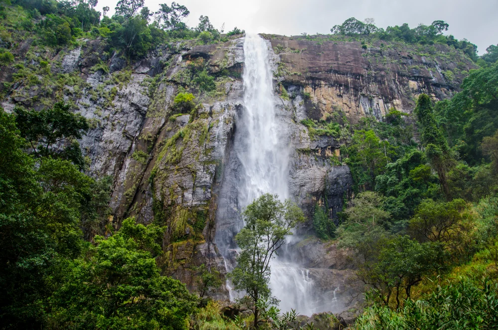 Cliff Jumping at Diyaluma Falls