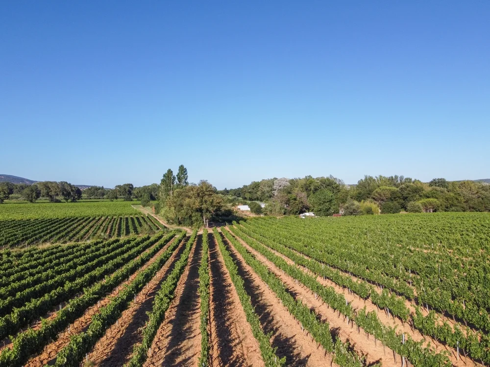 Côtes de Provence Wineries