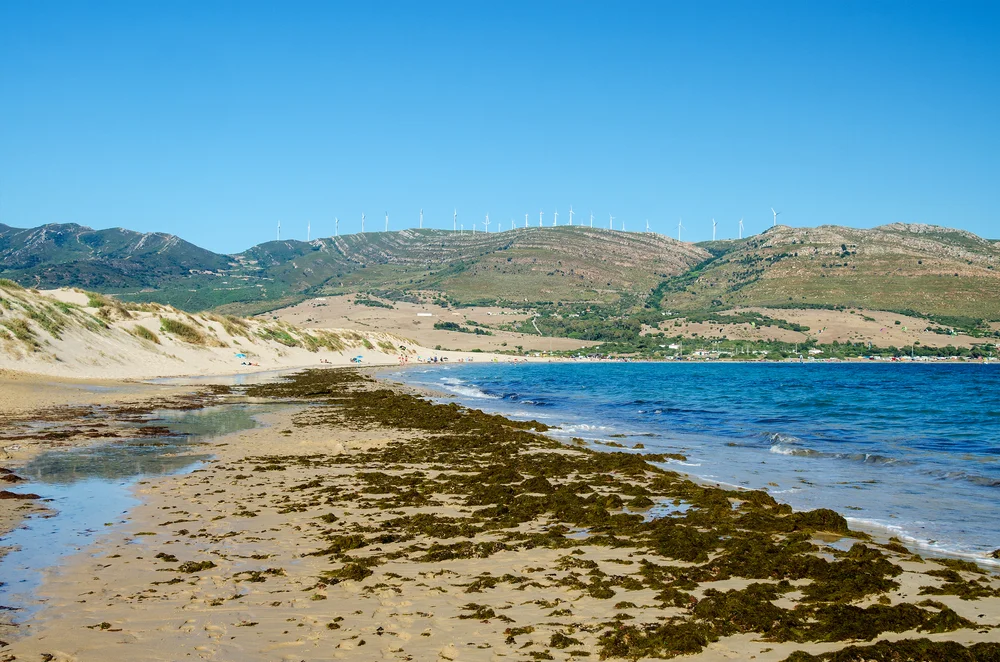 Paloma Beach, Nice