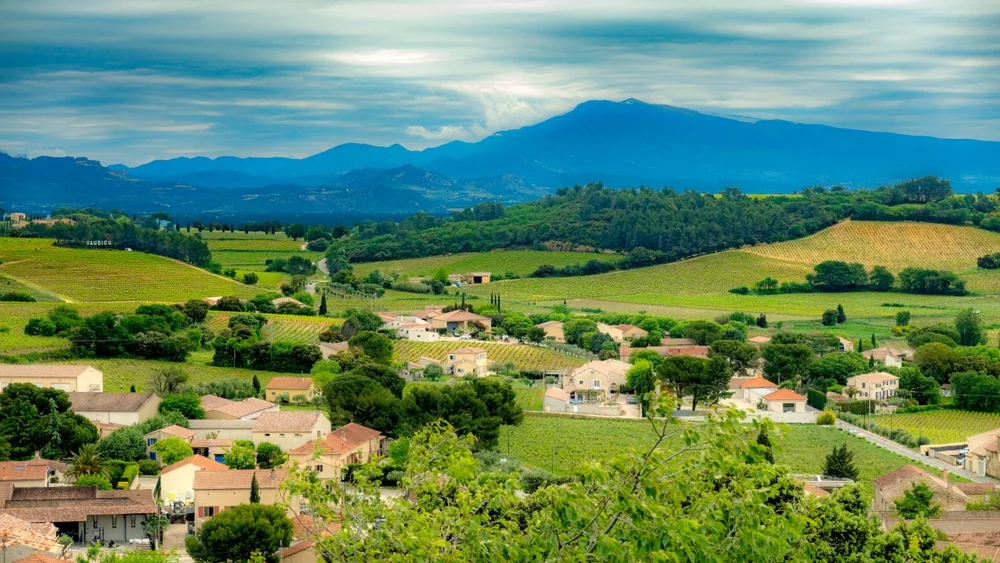 Châteauneuf-du-Pape Vineyards
