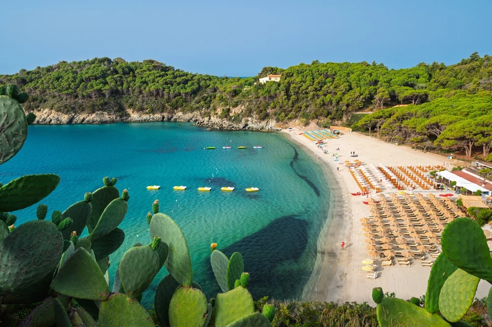 Fetovaia Beach
