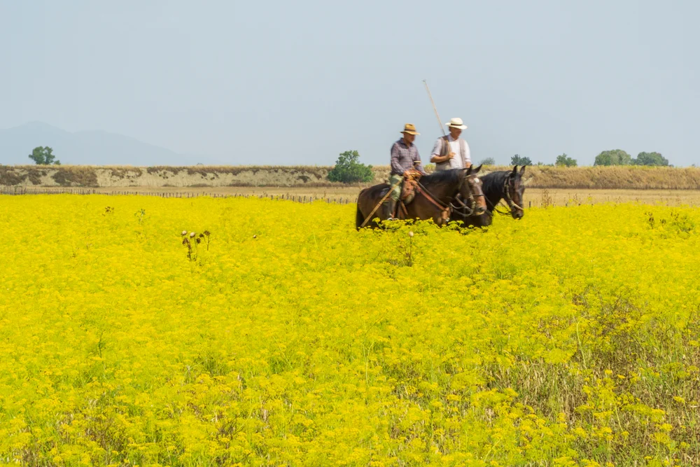 Horseback Riding in Maremma, Tuscany