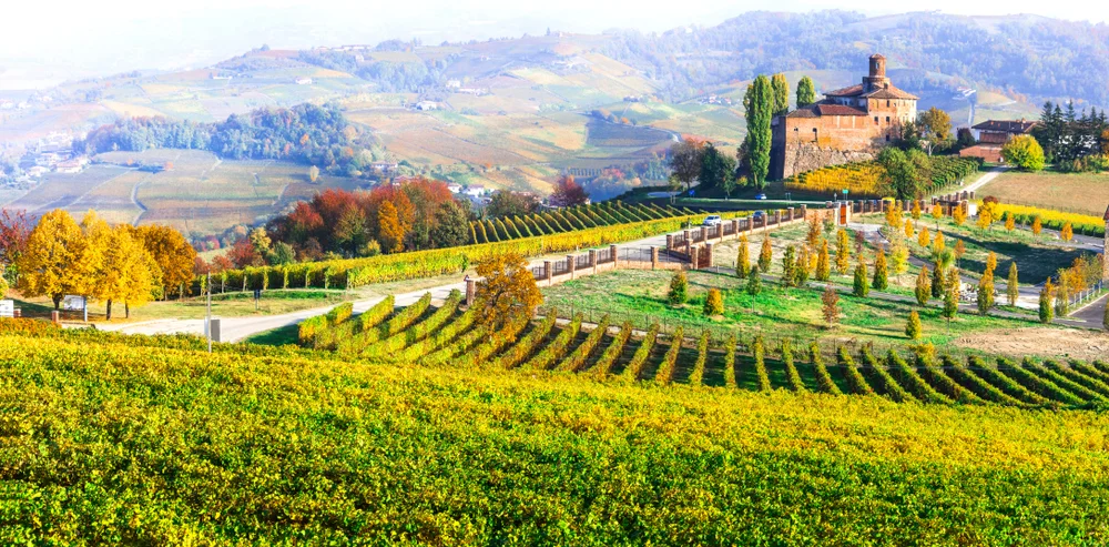 Wine Tour in Barolo, Piedmont