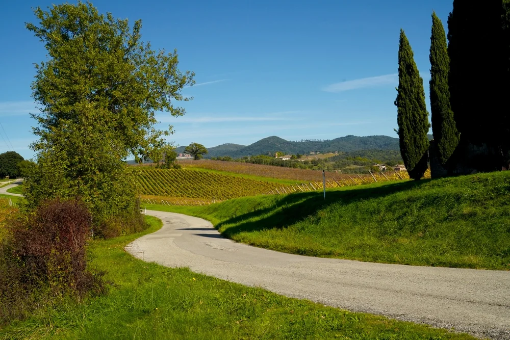 Drive through Val d’Orcia, Tuscany