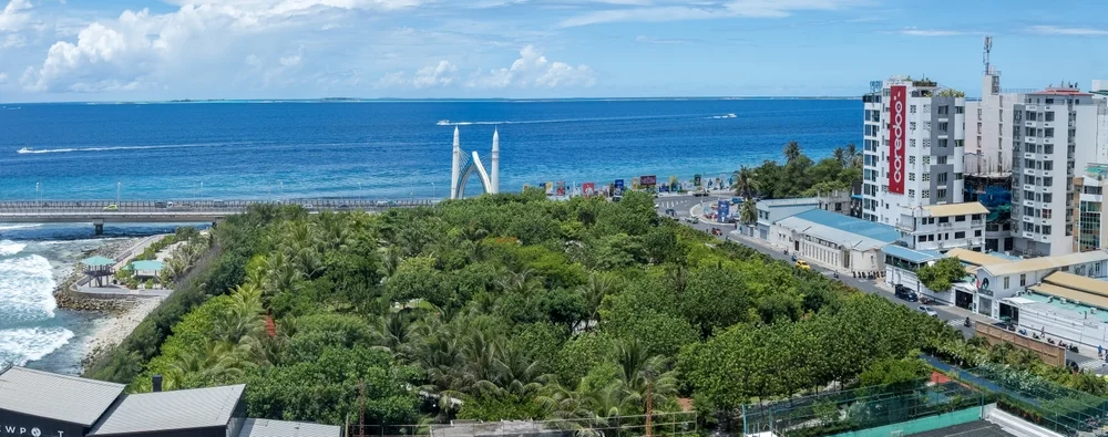 Male City