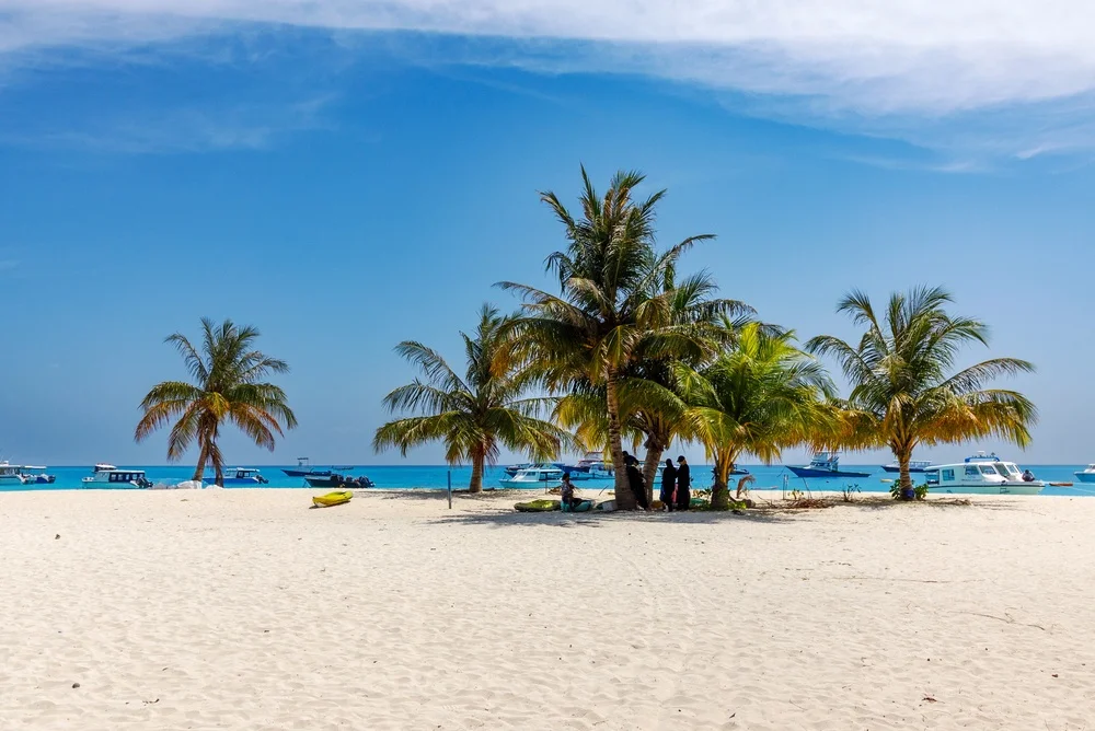 Thinadhoo (Vaavu Atoll)