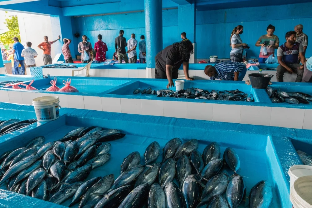 Visit the Fish Market in Malé
