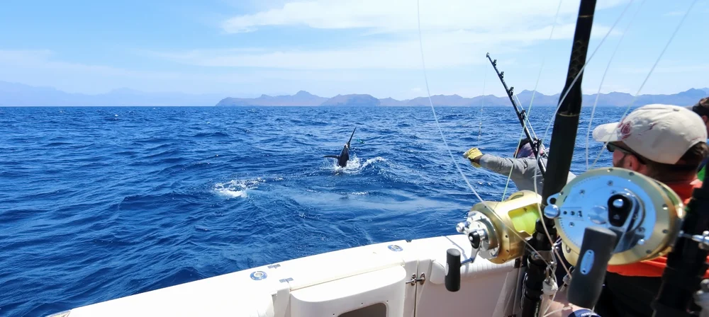 Deep-sea Fishing from Dhigurah