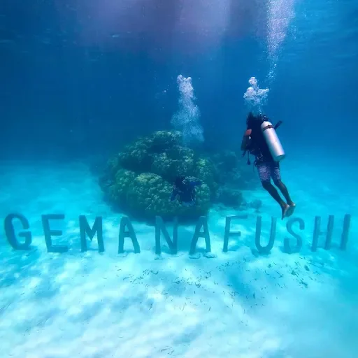 Gemanafushi