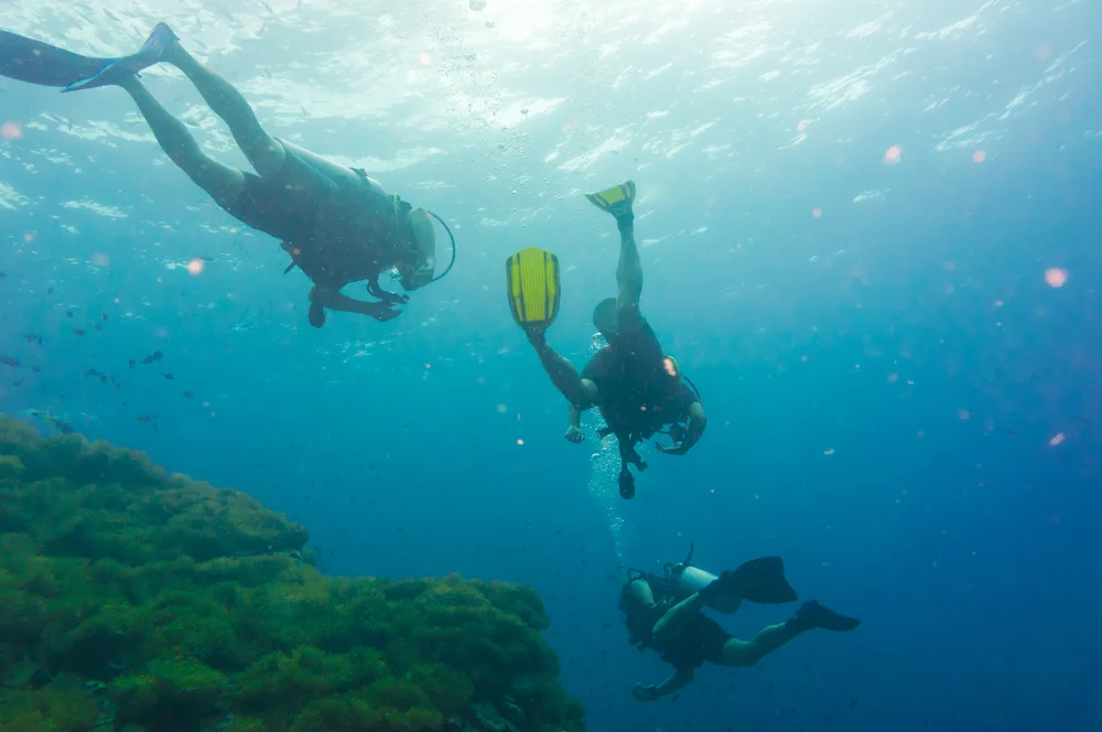 Scuba Diving at Manta Point (North Malé Atoll)