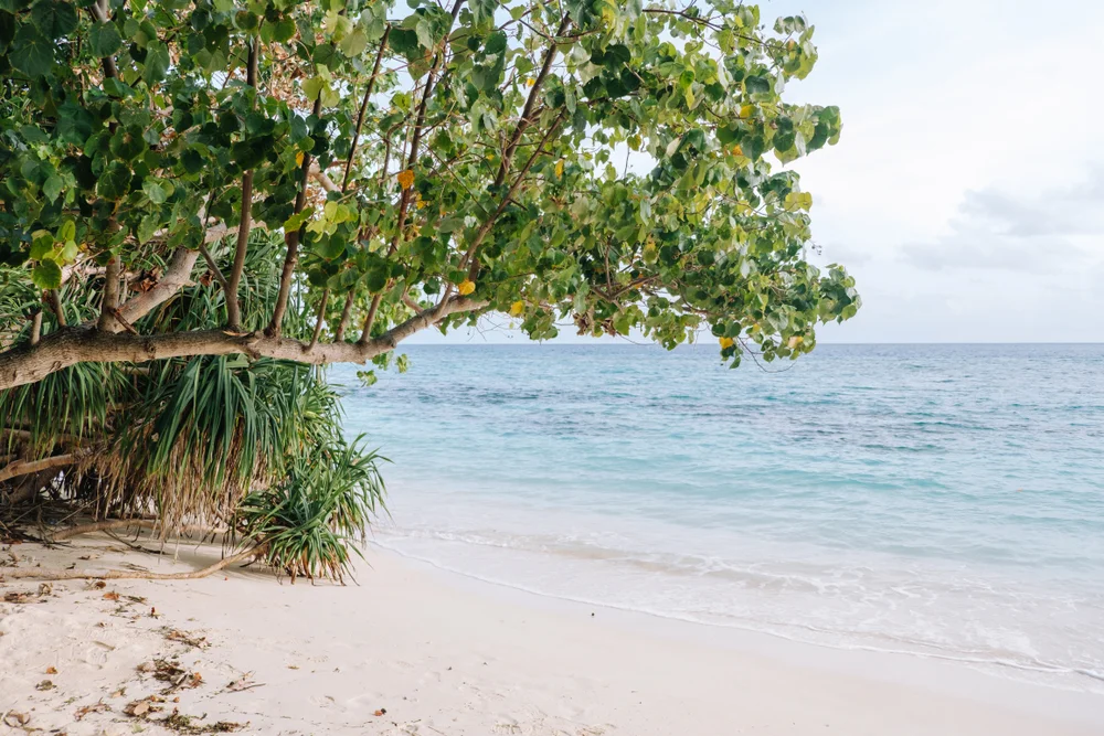  Rasdhoo Bikini Beach
