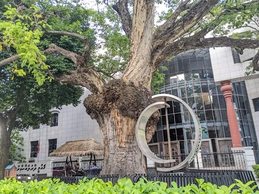 Visit the Maldives National Museum in Malé