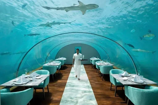 Ithaa Undersea Restaurant – Conrad Maldives Rangali Island