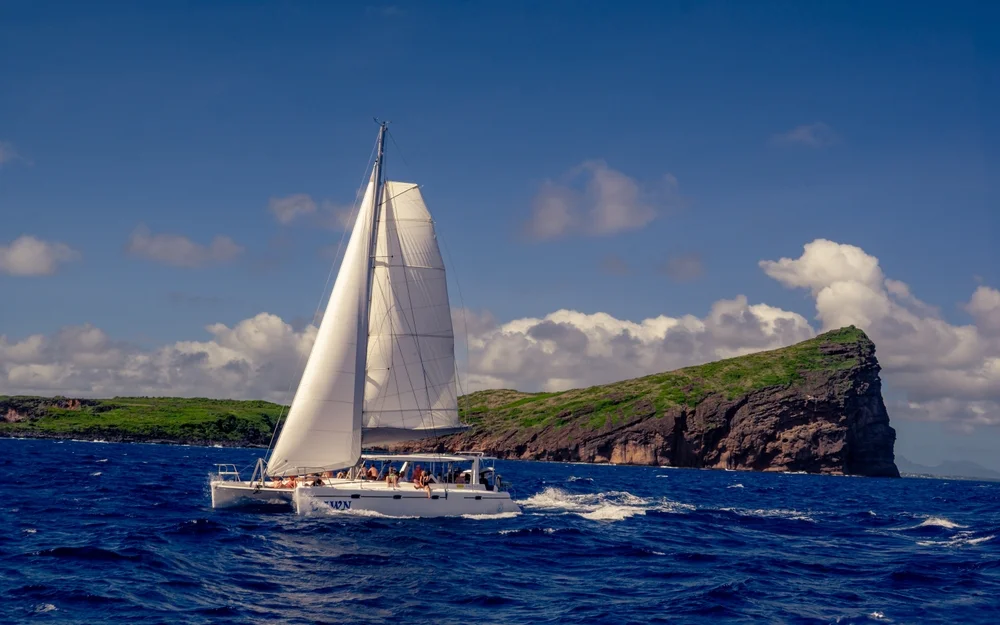 Catamaran Sailing