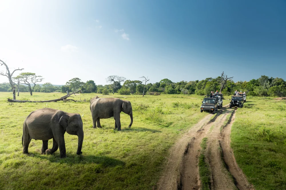Sri Lanka