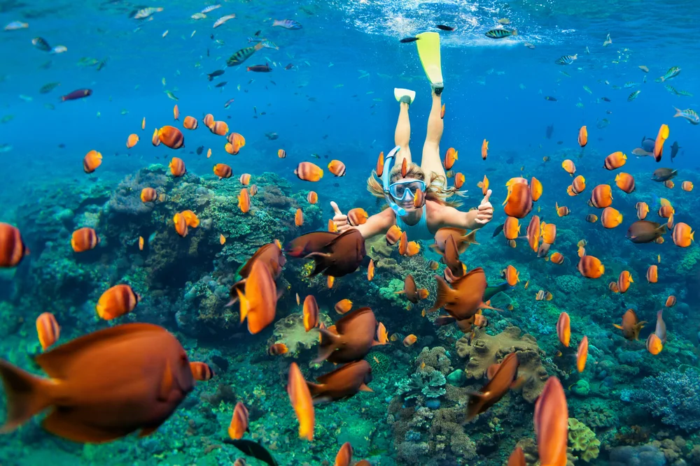 Snorkelling 