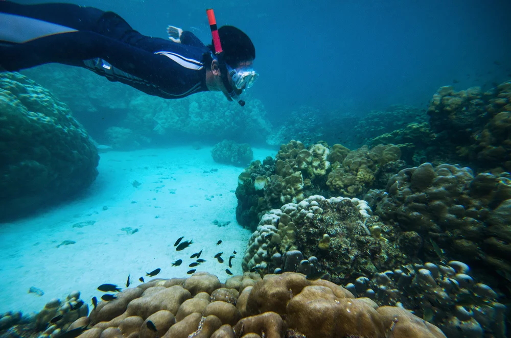  Snorkelling at Blue Bay Marine Park