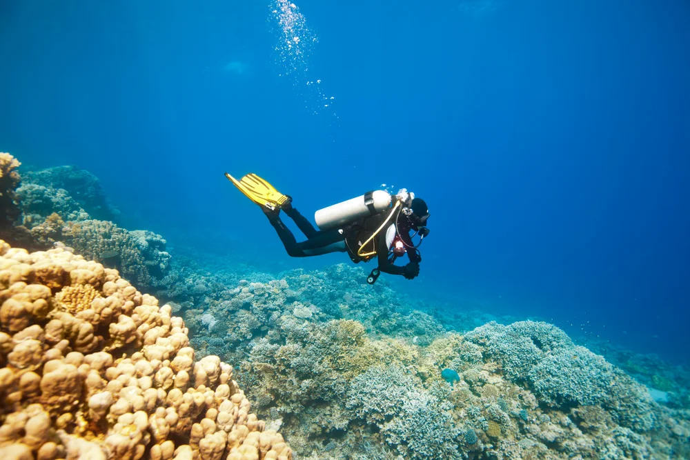 Scuba diving