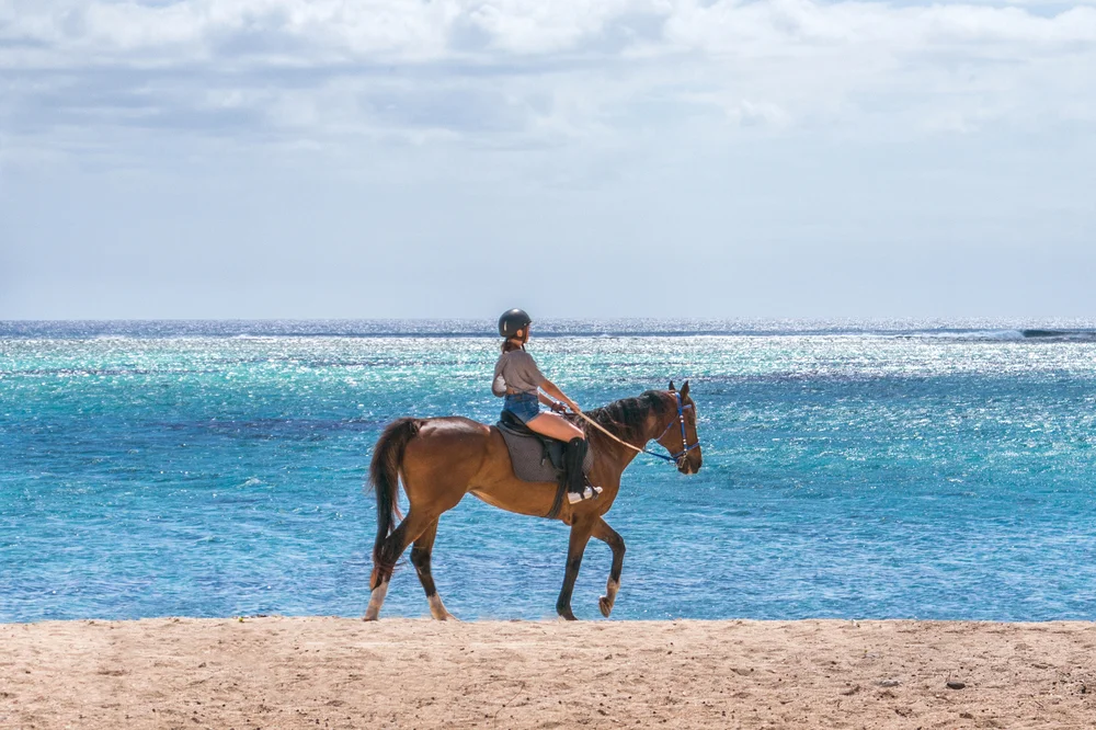  Horse-riding on the beach