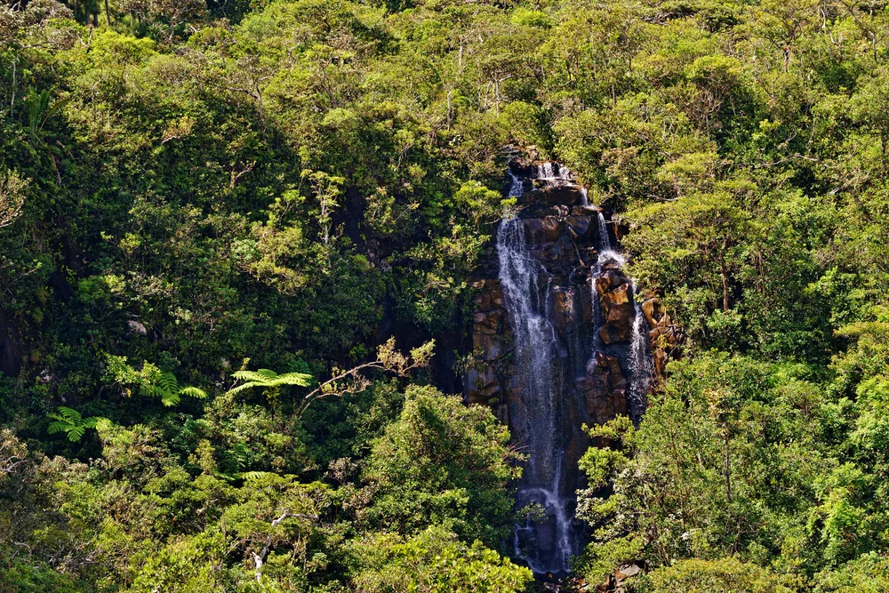 Alexandra Falls 