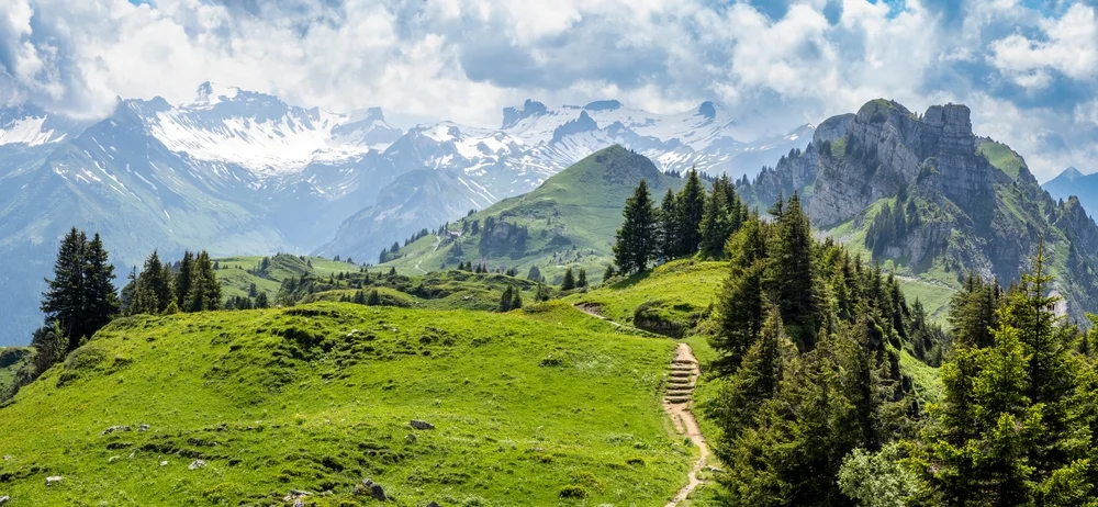 Schynige Platte