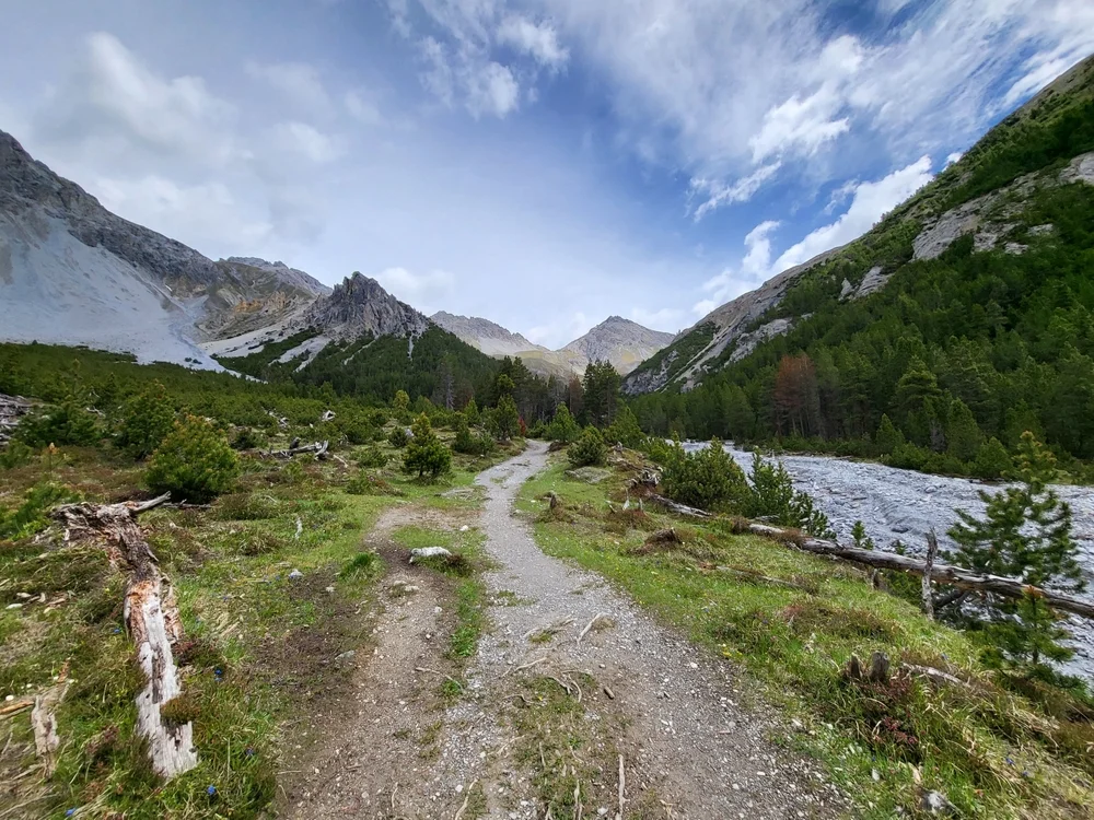 Swiss Alps