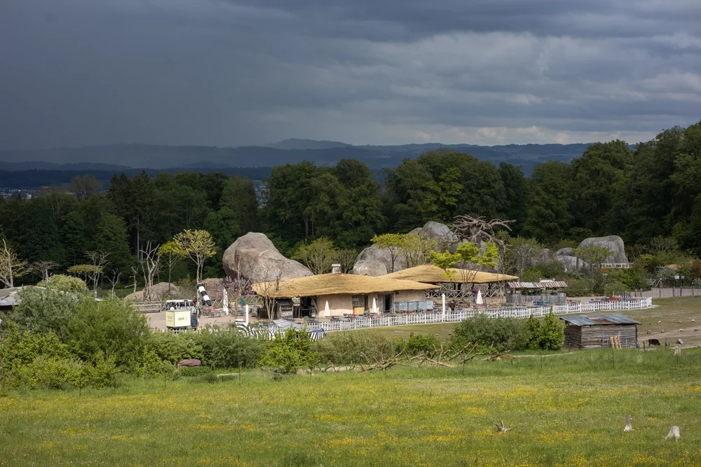 Discover Zurich Zoo