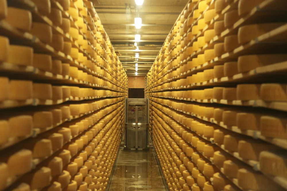 Gruyère Cheese Experience