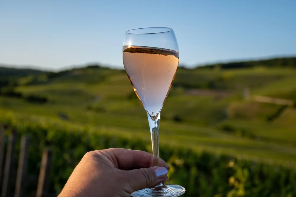 Wine Tasting in Lavaux Vineyards
