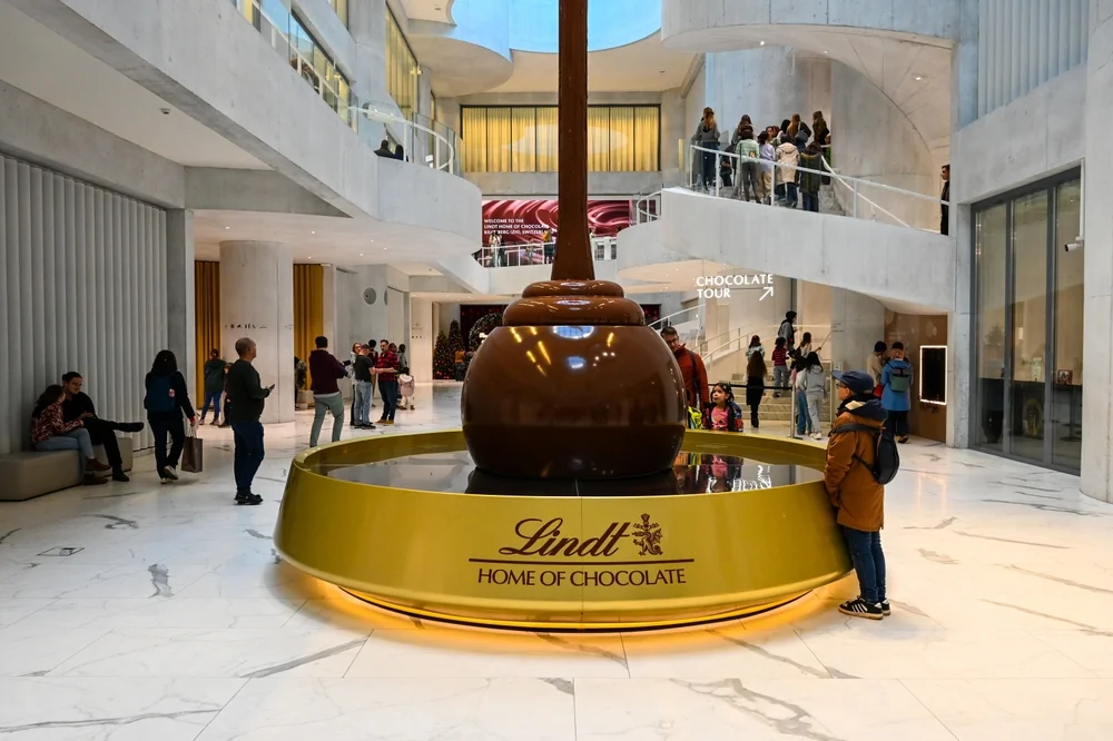 Chocolate Tasting Experience at a Swiss Chocolate Factory