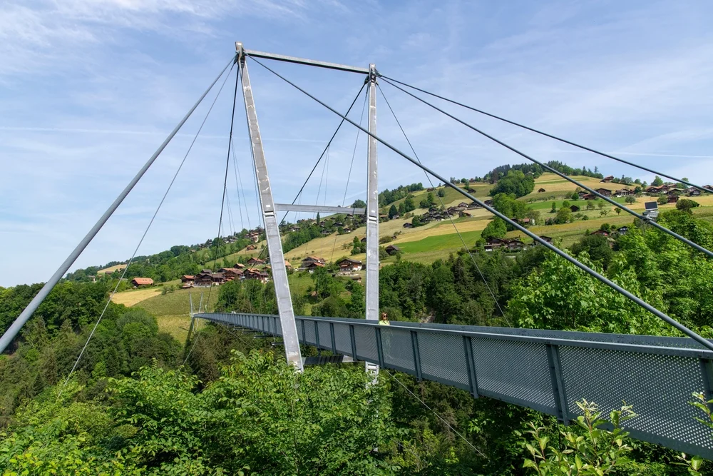 Iconic Suspension Bridges