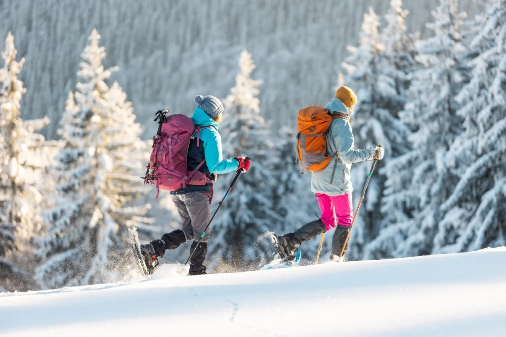 Snowshoeing in the Alps