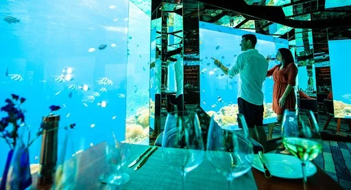 Underwater Wine Cellar Experience – Anantara Kihavah Maldives Villas