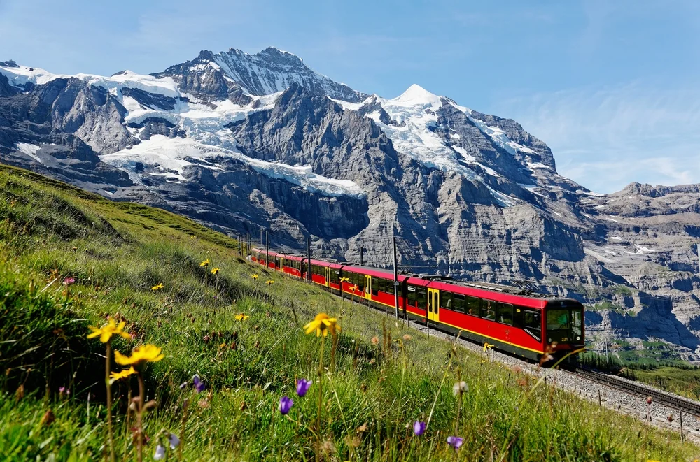 See the Swiss Alps by Scenic Train