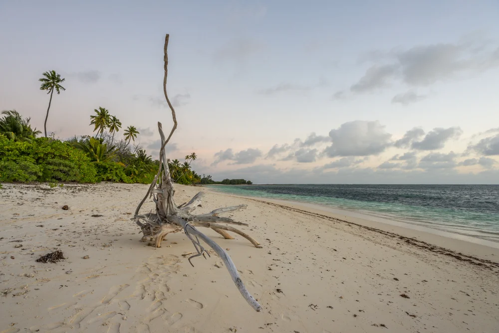 Desroches Beach