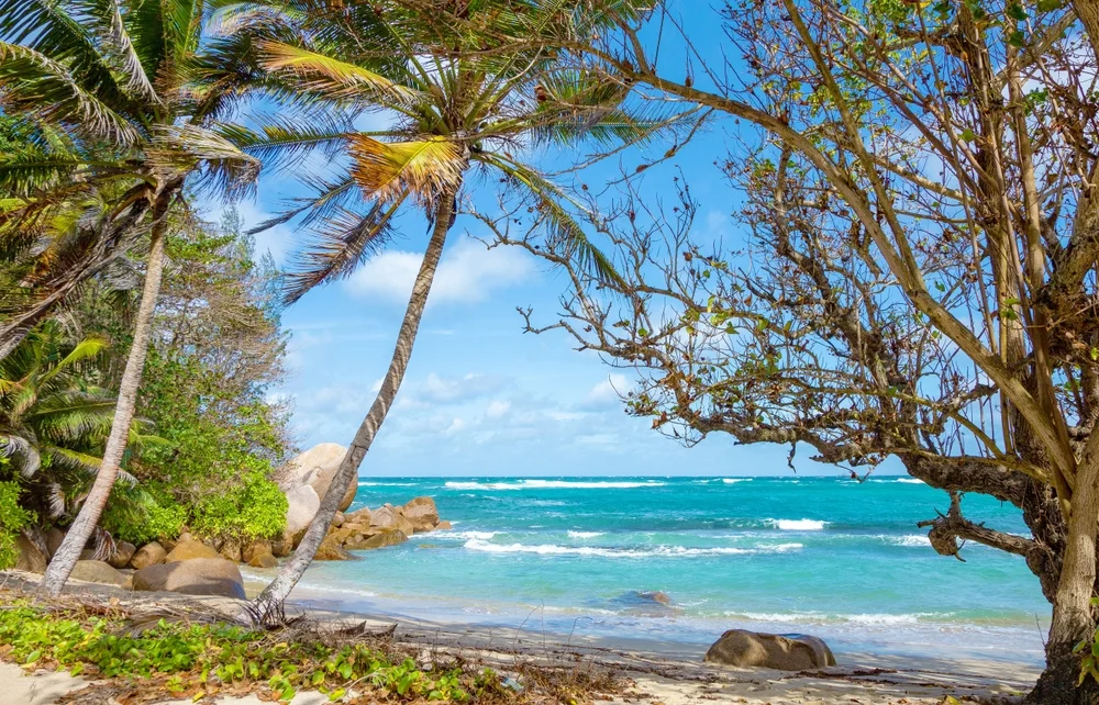 Anse Consolation